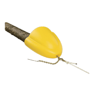 cône de débusquage